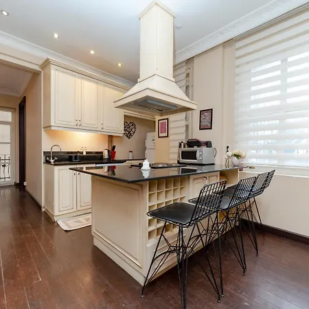 Apartament Three-bedroom Family In Managed - Location Near Taksim Stambuł
